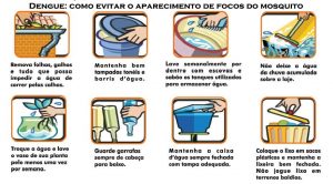 dengue_-_como_evitar_o_mosquito_0