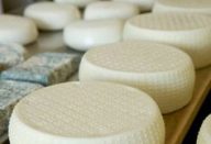 Organic pecorino and blue cheese. Italy