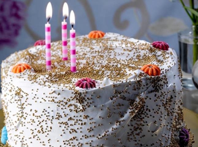 247148_10151599549670479_380084529_n