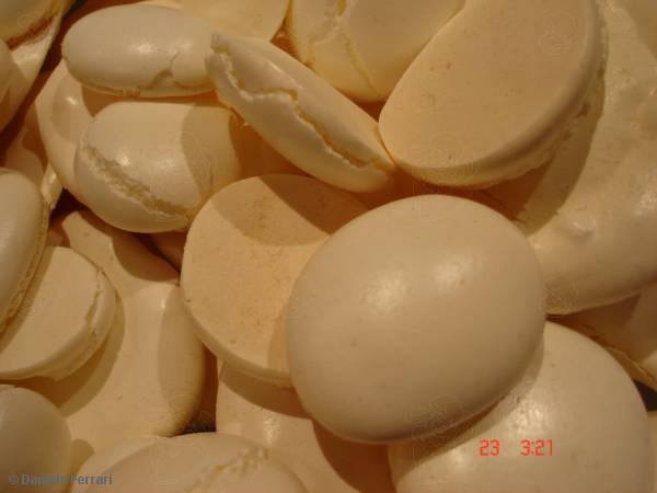 485642_613523658657748_187400550_n