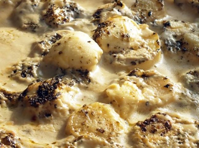 969577_10151611456000479_1606636193_n