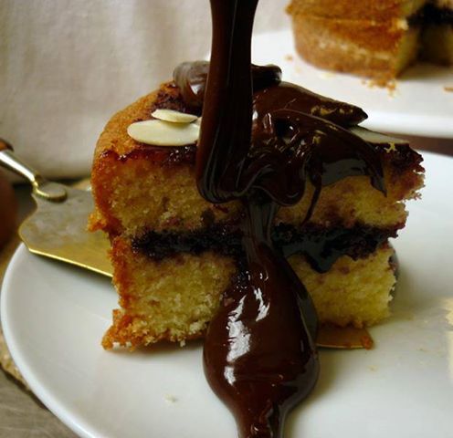 1002726_187081801452483_326417620_n