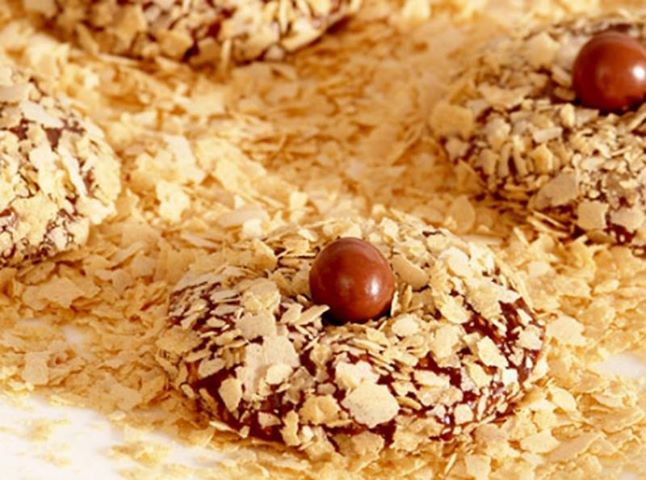 1609_10151661663140479_1463640858_n