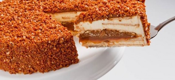 521605_1762891627182474_32313031_n