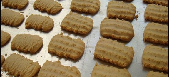 1148862_10151770616240479_452508777_n