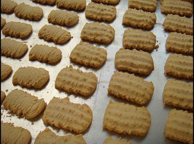 1148862_10151770616240479_452508777_n