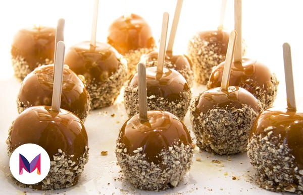 970338_10151625379451896_1128288591_n