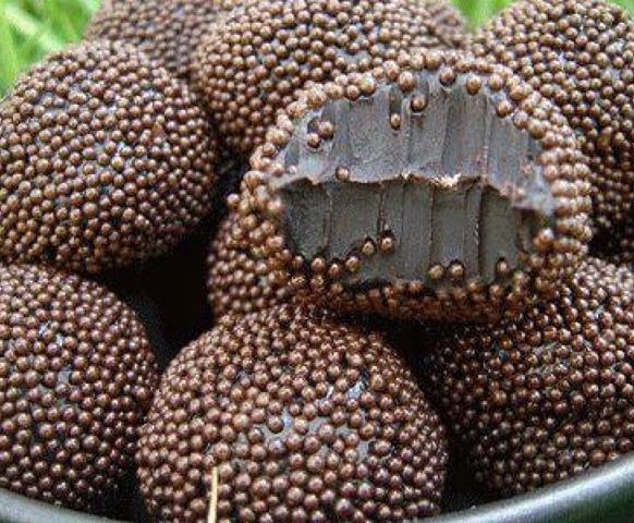 1380191_312520668886017_1107959480_n