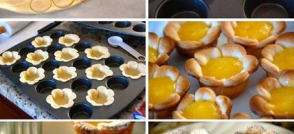 988778_314916985313052_840080978_n