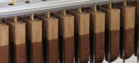 1467291_228956367265026_1409460935_n