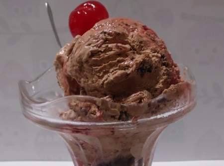 sorvete-caseiro-de-chocolate-com-flocos-de-chocolate-f8-113298