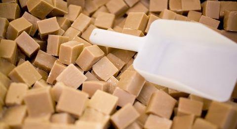 1381690_10151627611920588_167675108_n