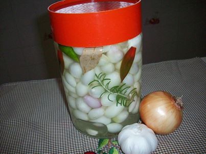 1098335_777456292264483_1326314096_n