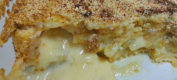 906267_232287660242904_1021838621_o