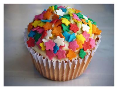 10155972_799017256775053_6700727421004326905_n