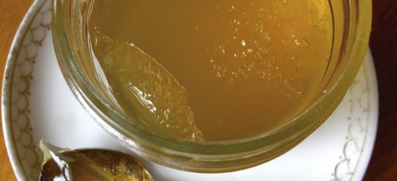Gelatina Termogênica