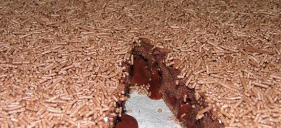 10346528_862475557095889_2145385304581577400_n