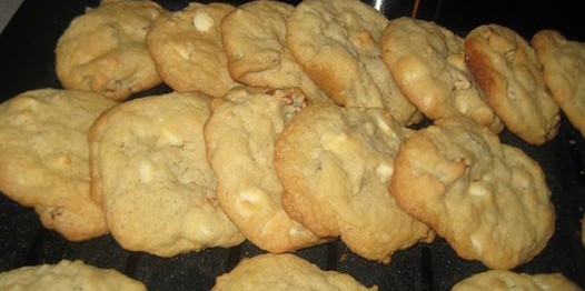 10710585_894215470588564_2339561697433176655_n