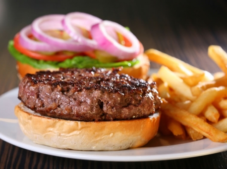 hamburguer-f8-2543