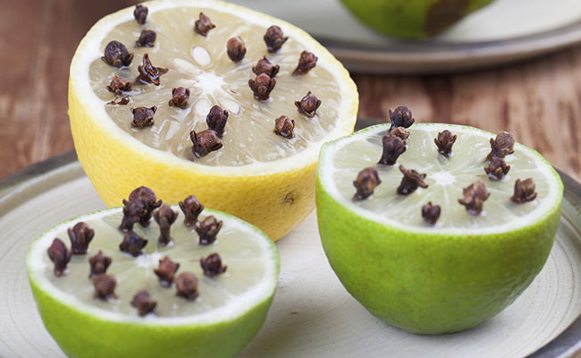 6 maneiras de espantar moscas