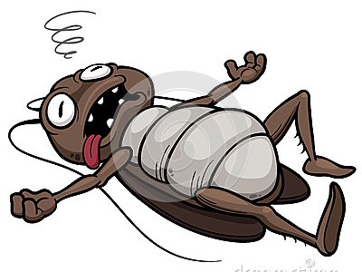 Como acabar com Baratas