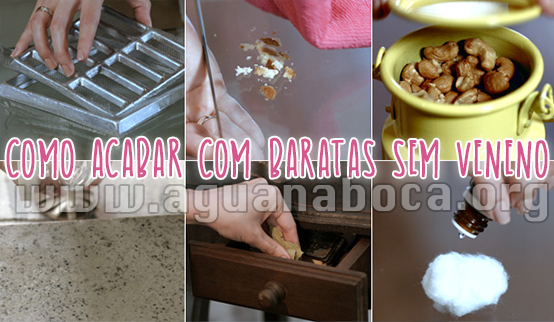 Como acabar com as baratas sem veneno!