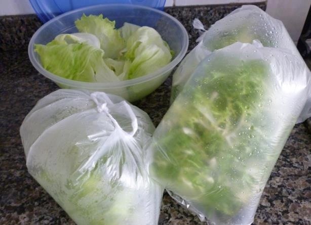 COMO CONSERVAR ALFACE POR MAIS DIAS NA GELADEIRA