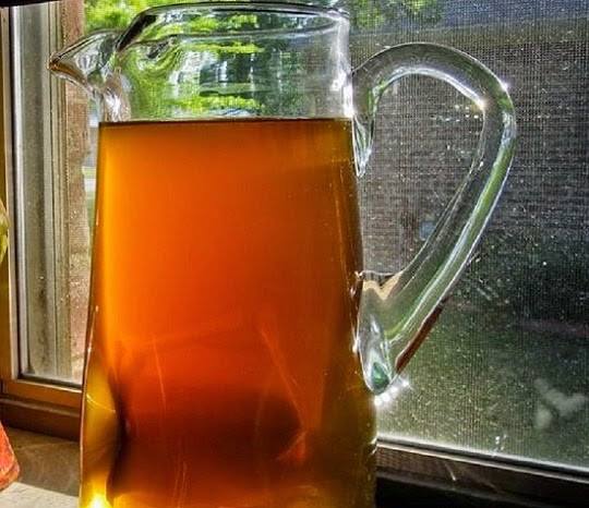 Água de canela ajuda a emagrecer e é ótima contra diabetes e colesterol