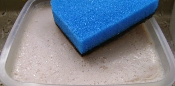 10155159_789007744500325_4617639375417350874_n