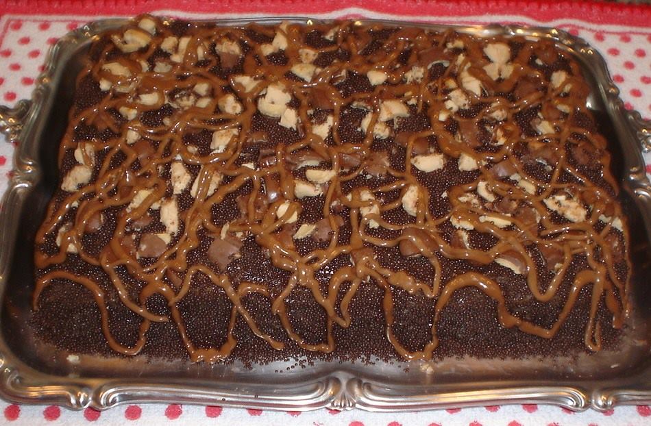 11033881_1073960485947394_1016853518425180111_n