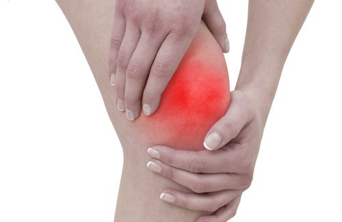 Articulaciones-500×325-500×325