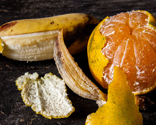 cascas-de-fruta-500×400