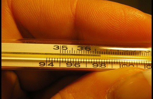 baixar-febre-500×325