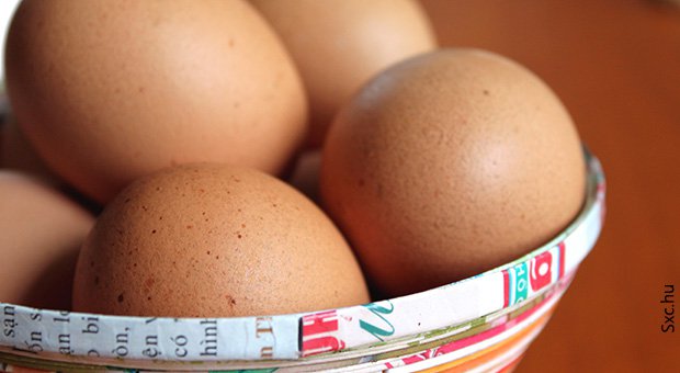 como-aproveitar-ovo1