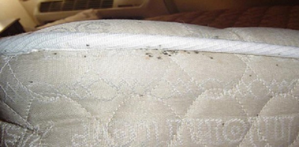 limpar_colchao_acaros_microbios_po-610×300