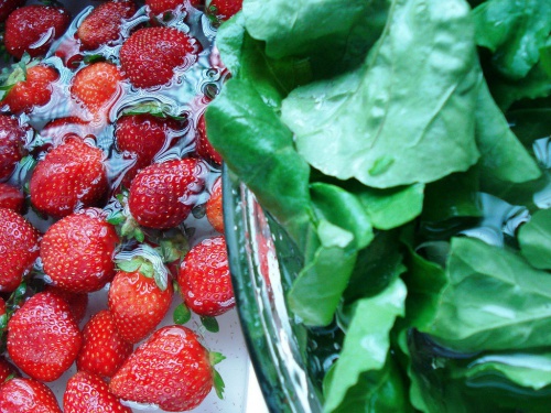 O-poder-dos-alimentos-TPM-500×375