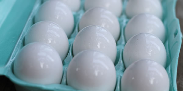 Ovos-Truque-para-preservá-los-por-1-ano-ou-mais