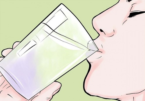 diga-o-que-come-500×350