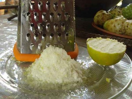 limao-congelado-ralado-500×375