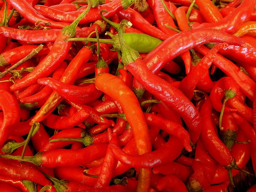 pimenta1-500×375