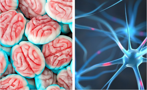 cerebro_acucar-500×307