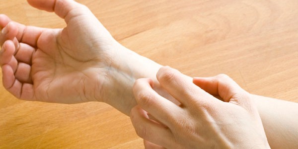 slideshow-animaisdomesticos-10-600×300