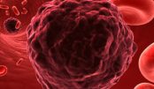 cientistas-descobrem-composto-quimico-que-faz-celulas-cancerigenas-se-autodestruirem-b92fc295