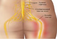 231a9c831f0b1904b1913c53cd22d1f9