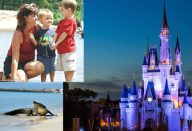 crocodilo-ataca-crianca-na-disney-660×330