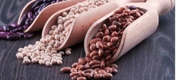 feijao_-_novo_-_edit