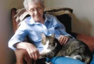 gata-morre-no-mesmo-dia-q-dona-660×330