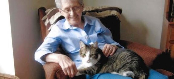 gata-morre-no-mesmo-dia-q-dona-660×330