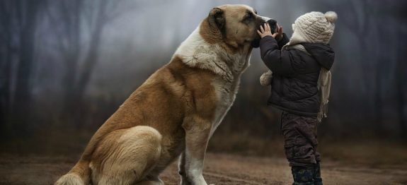 large_Animals___Dogs_A_child_with_a_big_dog_095280_