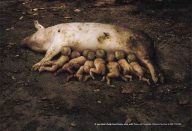 large_Captura-de-pantalla-2015-06-26-a-las-16.31.06